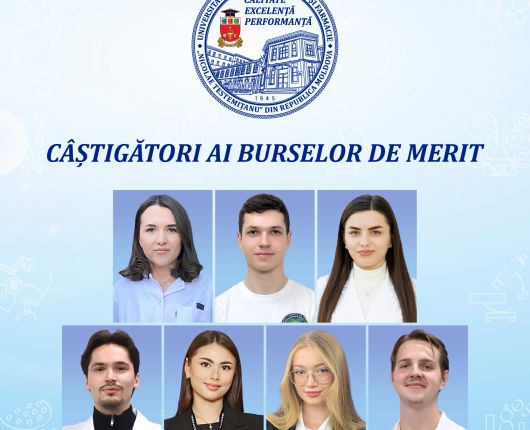 burse de merit