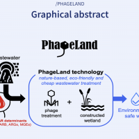 PhageLand