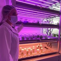 biotehnologia plantelor medicinale